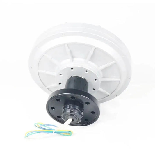 300W-1000W 200 250 300Rpm 12V 24V 48V 220V DC Generator Permanent Magnet Alternator Coreless Maglev For Solar Panel Wind Turbine by 54Grid - Renewable Energy Store