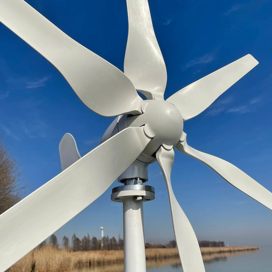 FLTXNY Small Wind Turbine Generator Fit For Home Lights Windmill 800W With Controller Gift All Sets With 5 Years Warranty by 54Grid - Renewable Energy Store