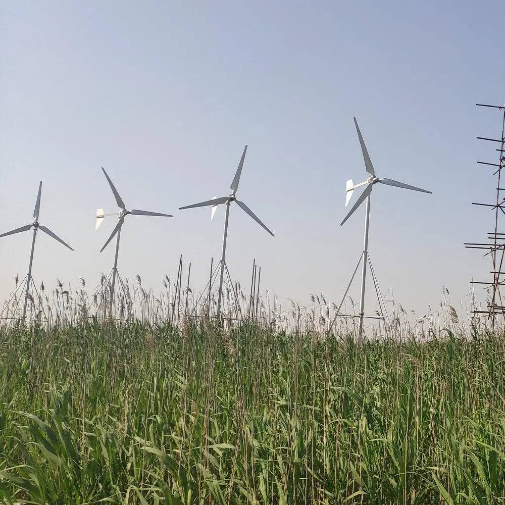 Wind Turbine Generator 15KW Three Phase AC Output 96/120/220/380V - 54Grid - Renewable Energy Store
