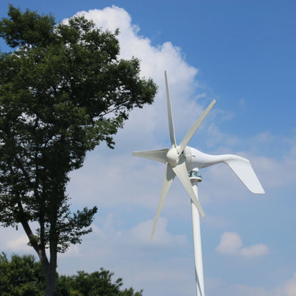 New Arrival Free Energy 5 Blades 5000W 12V 24V Wind Turbine Generator Windmill With MPPT Controller Homeuse Low Wind Speed Star by 54Grid - Renewable Energy Store