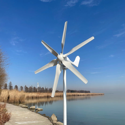 FLTXNY Small Wind Turbine Generator Fit For Home Lights Windmill 800W With Controller Gift All Sets With 5 Years Warranty by 54Grid - Renewable Energy Store