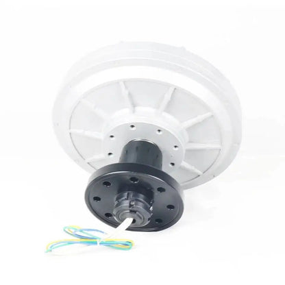 300W-1000W 200 250 300Rpm 12V 24V 48V 220V DC Generator Permanent Magnet Alternator Coreless Maglev For Solar Panel Wind Turbine by 54Grid - Renewable Energy Store