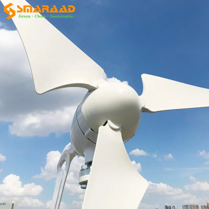 DIDITO 800W  1000W 12V 24V Wind Turbine Generator Complete Set Windmill MPPT/Charge Controller Small  Generador Electrico 54Grid - Renewable Energy Store